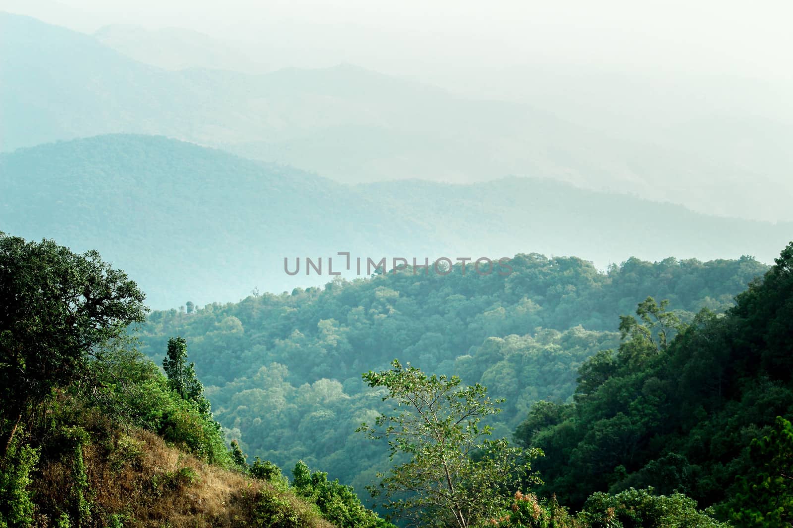 Landscape of complex mountain with sunlight in northern of Thailand. by TEERASAK