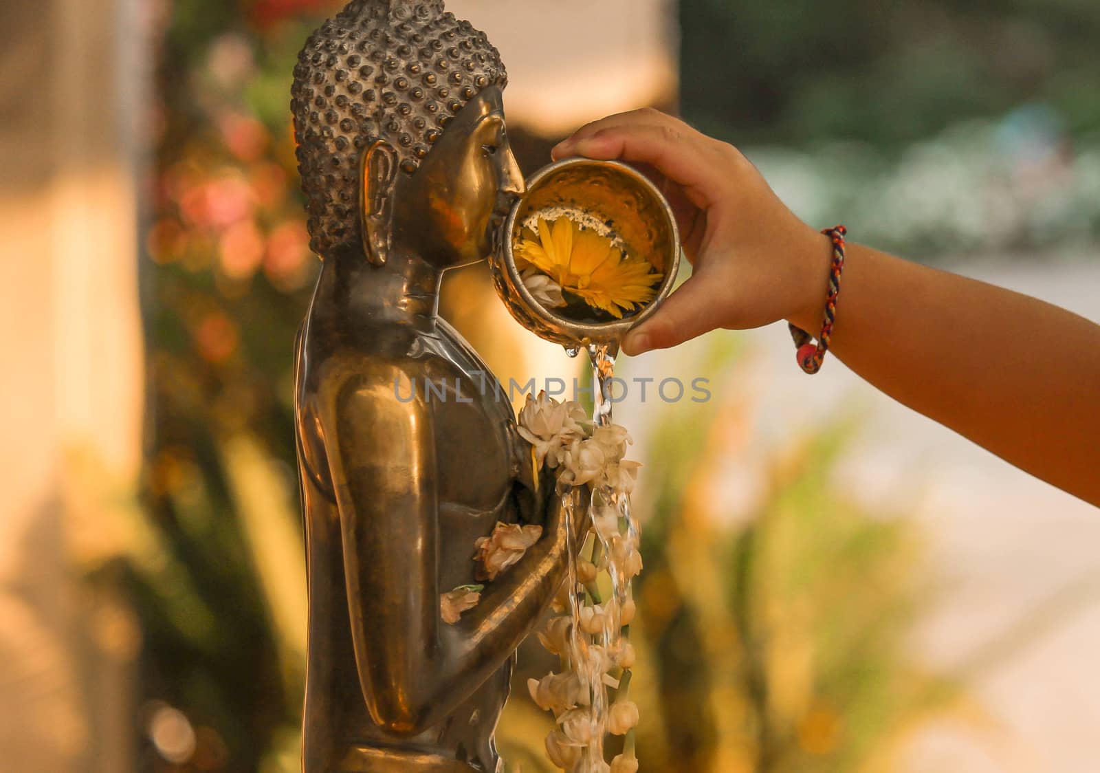 Close-up hand of Asian little girl is bathing buddha images on Songkran Day; Chiang Mai, Thailand. by TEERASAK