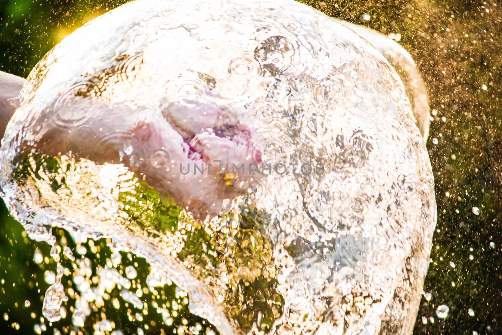 Close-up of hand squeeze the balloons that water inside and splashing around it; on blurred nature background in the garden. by TEERASAK