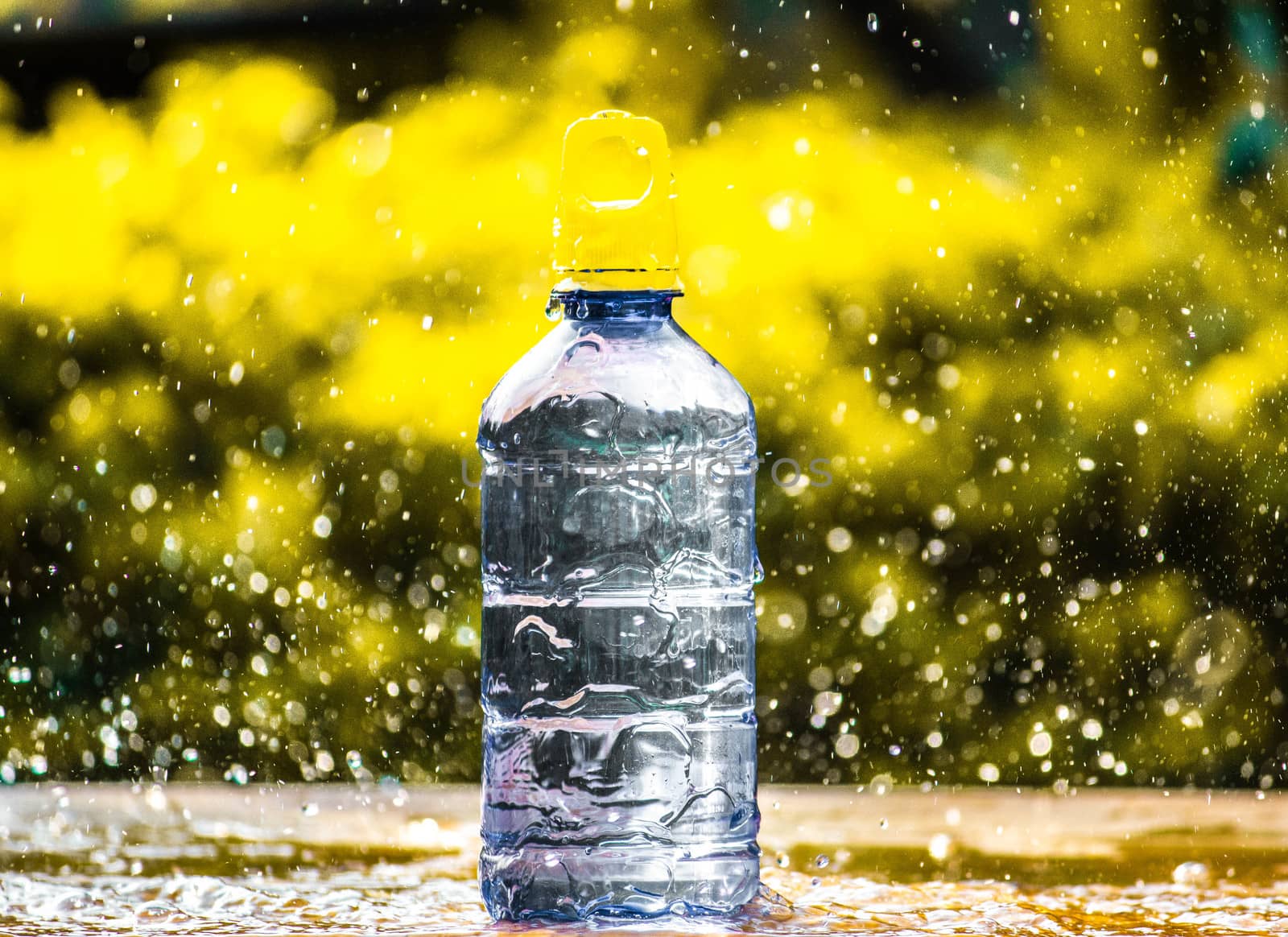 Fresh pure water splashing around of bottle with blurred background. Selective focus and space for text.