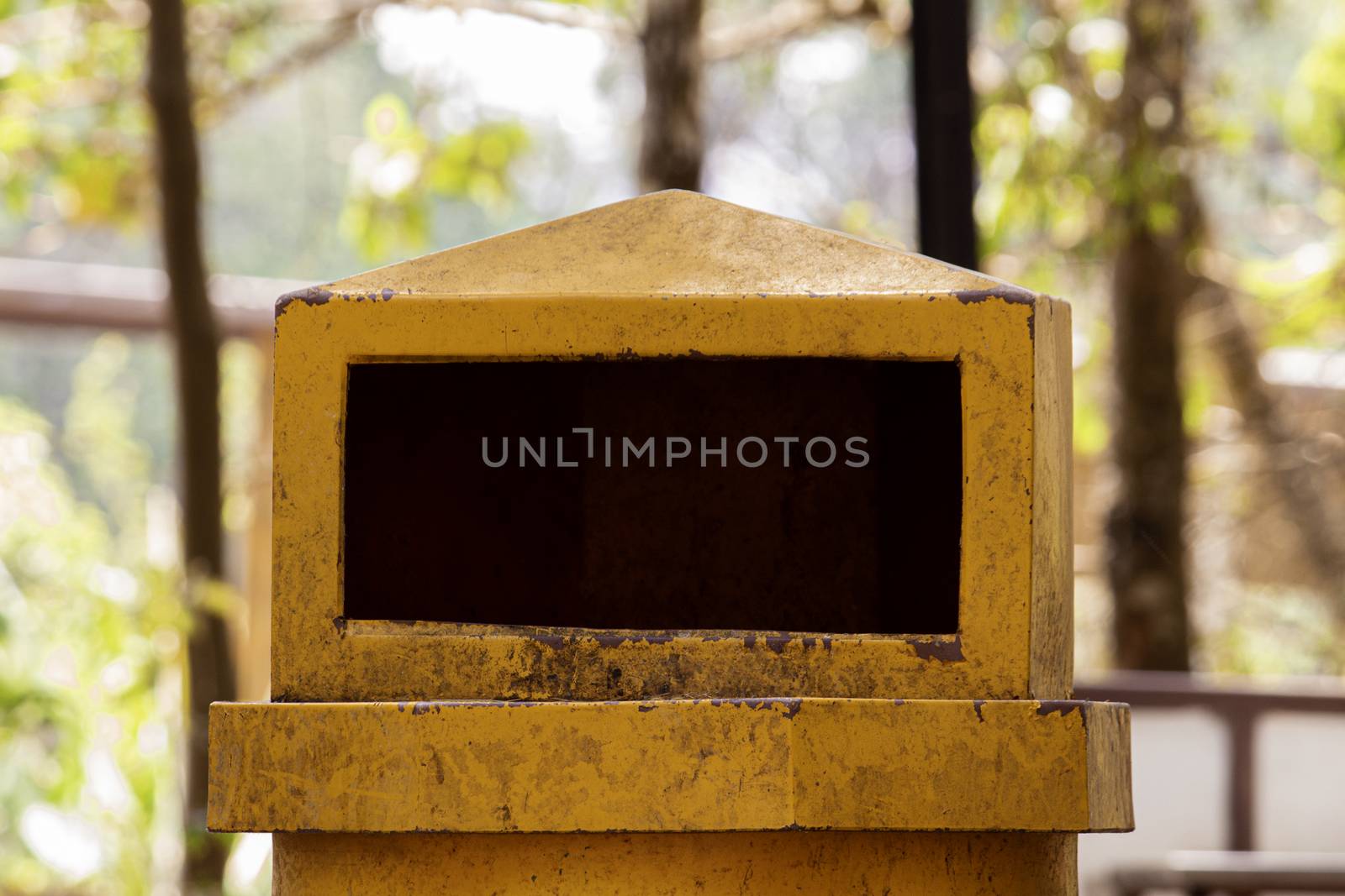 Dirty yellow trash placed in a pine forest, an area for spreading tents on the top of Inthanon in Chiang Mai, Thailand. by TEERASAK