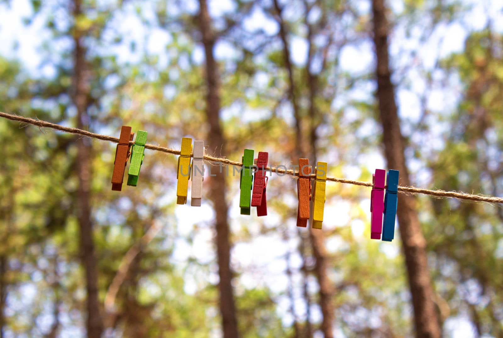 Color wooden clip on rope hanging on nature background. by TEERASAK