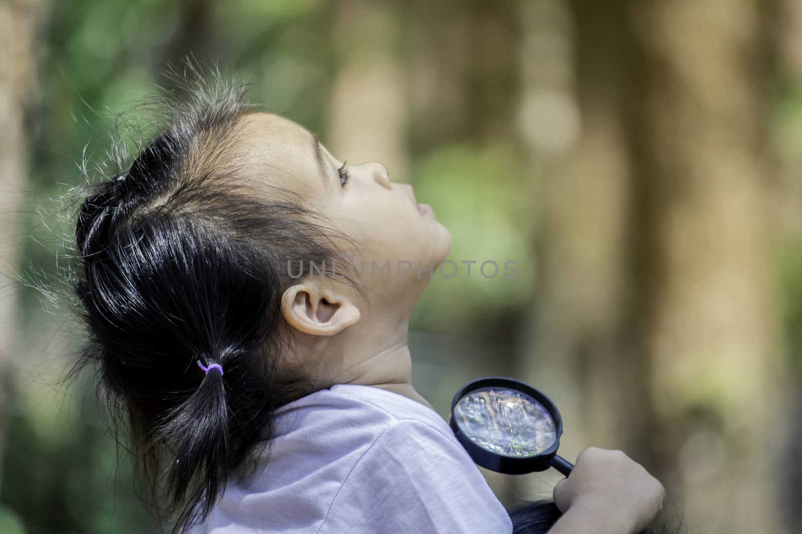 Asian little child girl hand holding magnifying glass and looking up to pine tree for studying the environment. by TEERASAK