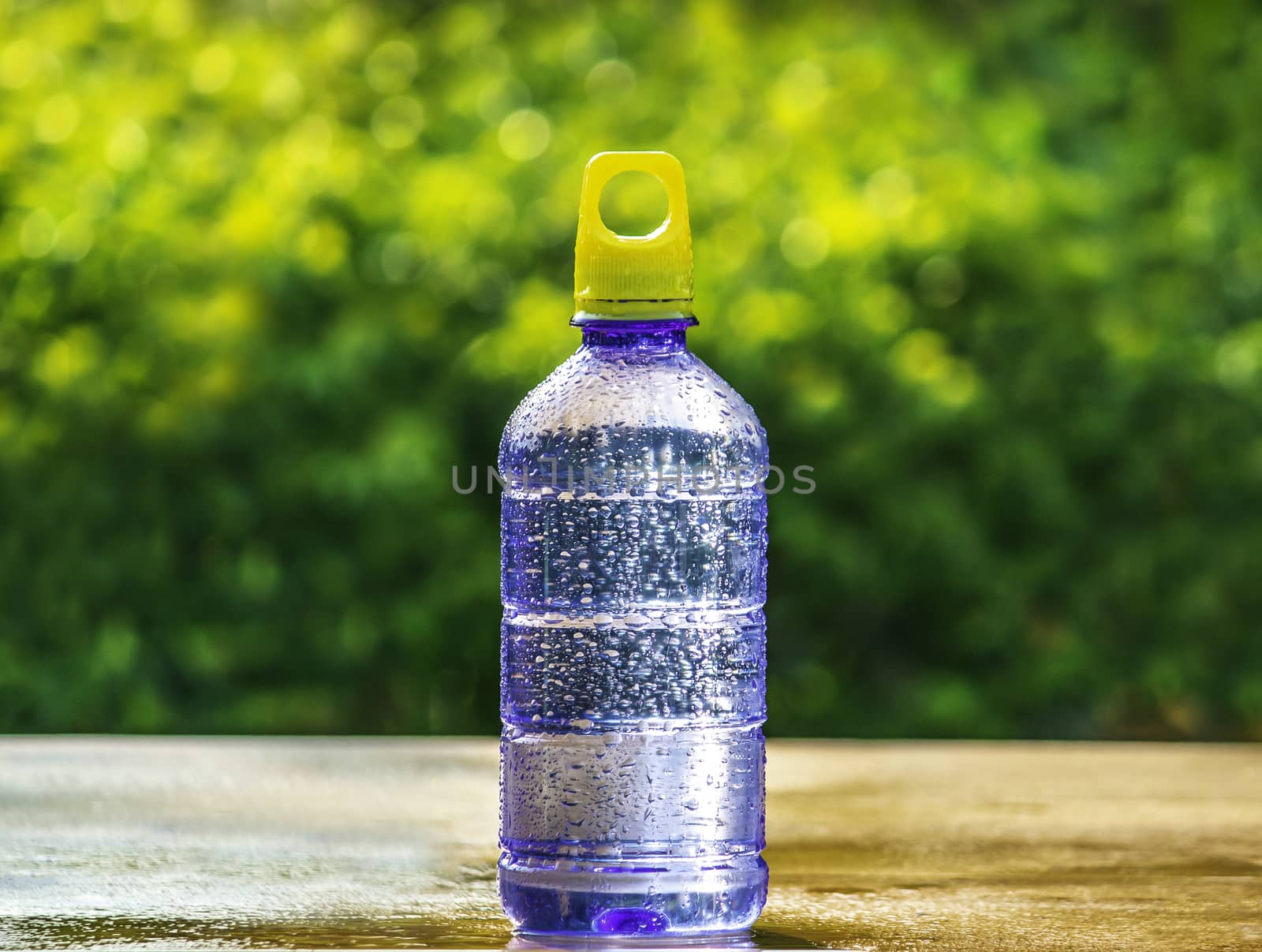 Cool pure water bottles with steam around placed on wooden table on nature background. by TEERASAK