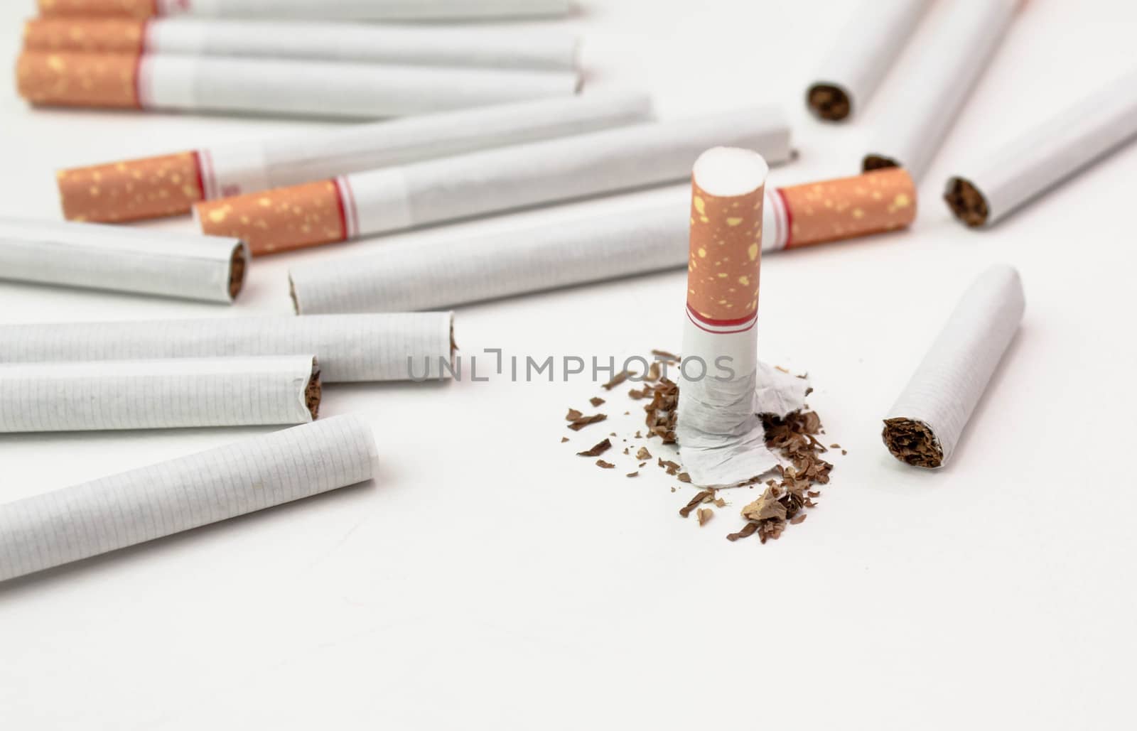 World No Tobacco Day; Broken cigarette with many Cigarettes isolated on white background. by TEERASAK