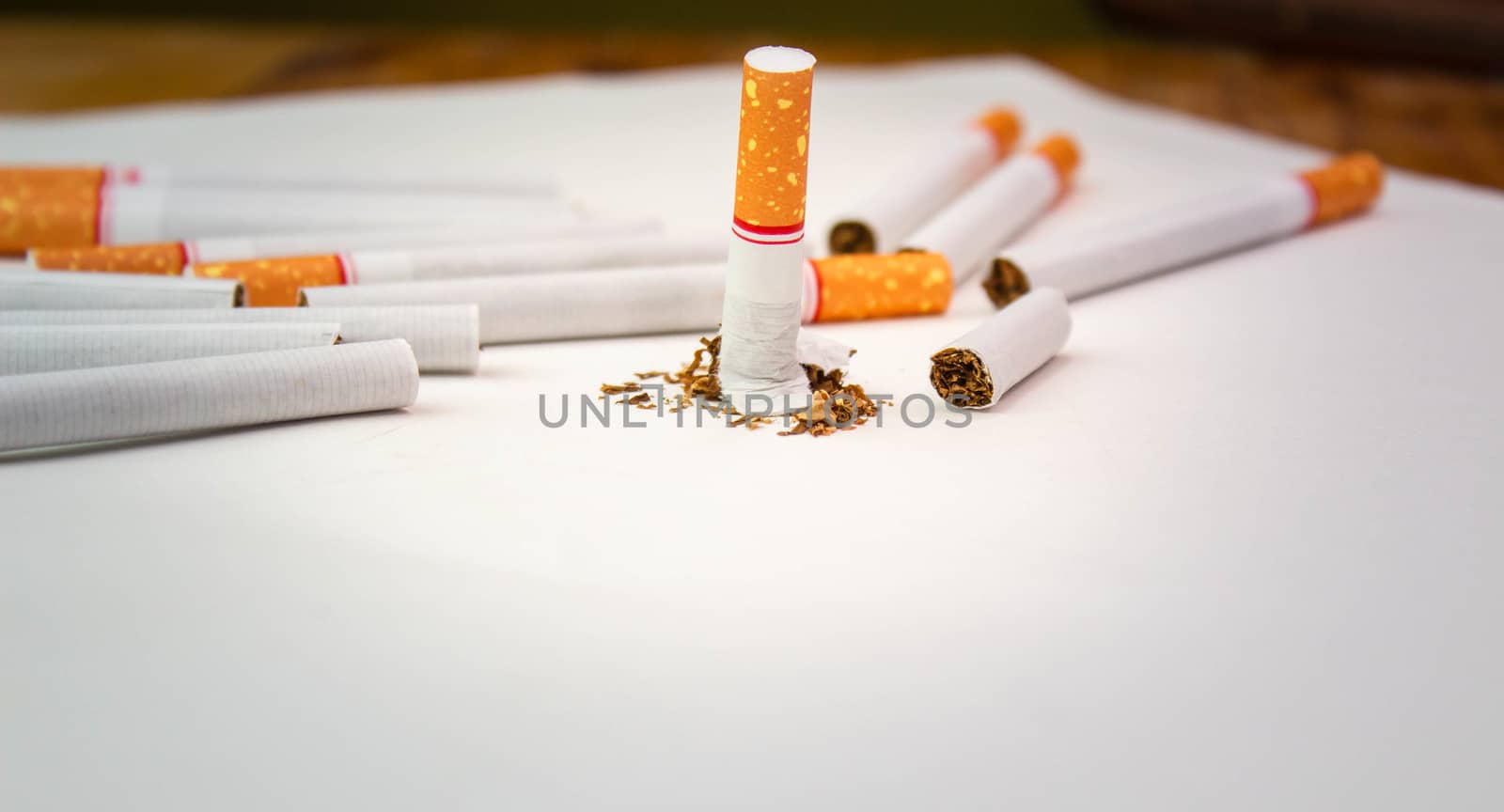 World No Tobacco Day; Broken cigarette with many Cigarettes isolated on white background. by TEERASAK