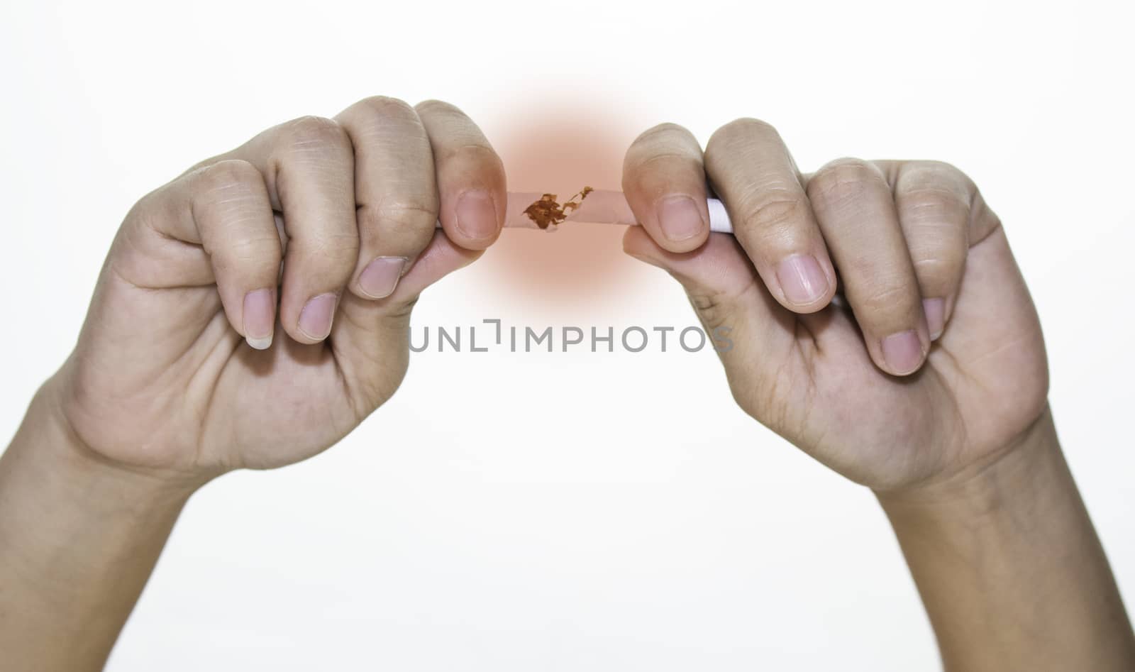 World No Tobacco Day; Woman hand destroying cigarettes isolated on white background and space for text.