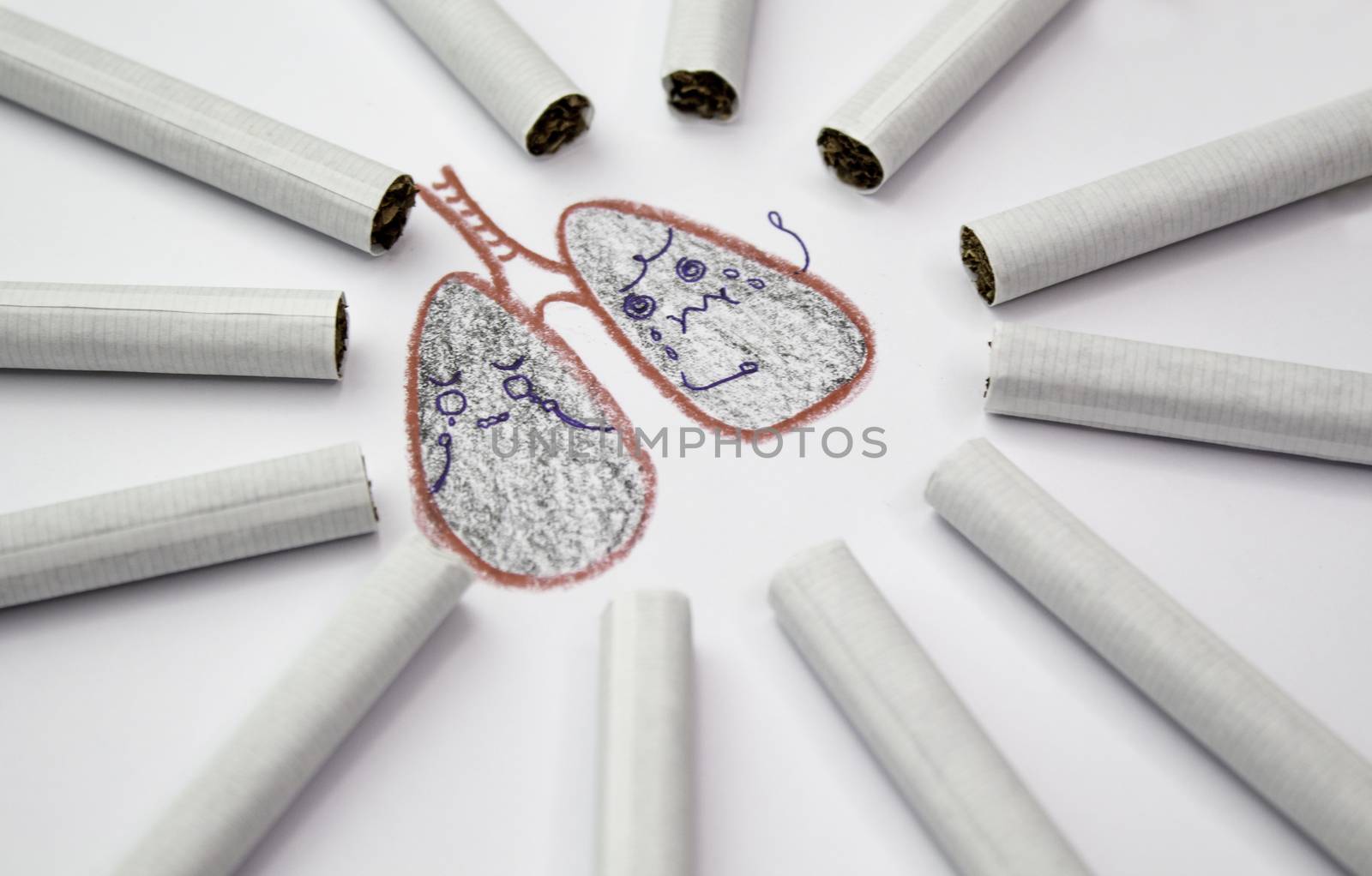 World No Tobacco Day; Sort cigarettes is a circle around bad lungs on white background.