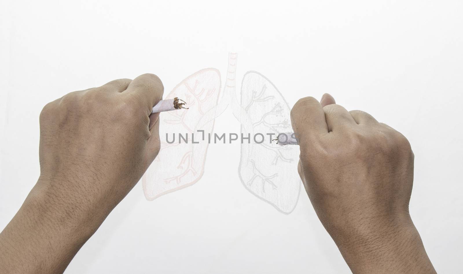 World No Tobacco Day; Woman hand destroying cigarettes on paper drawing lungs background and space for text. by TEERASAK