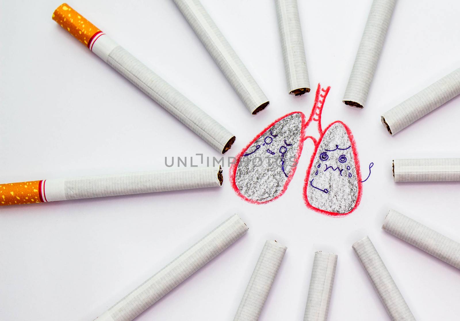 World No Tobacco Day; Sort cigarettes is a circle around bad lungs on white background.