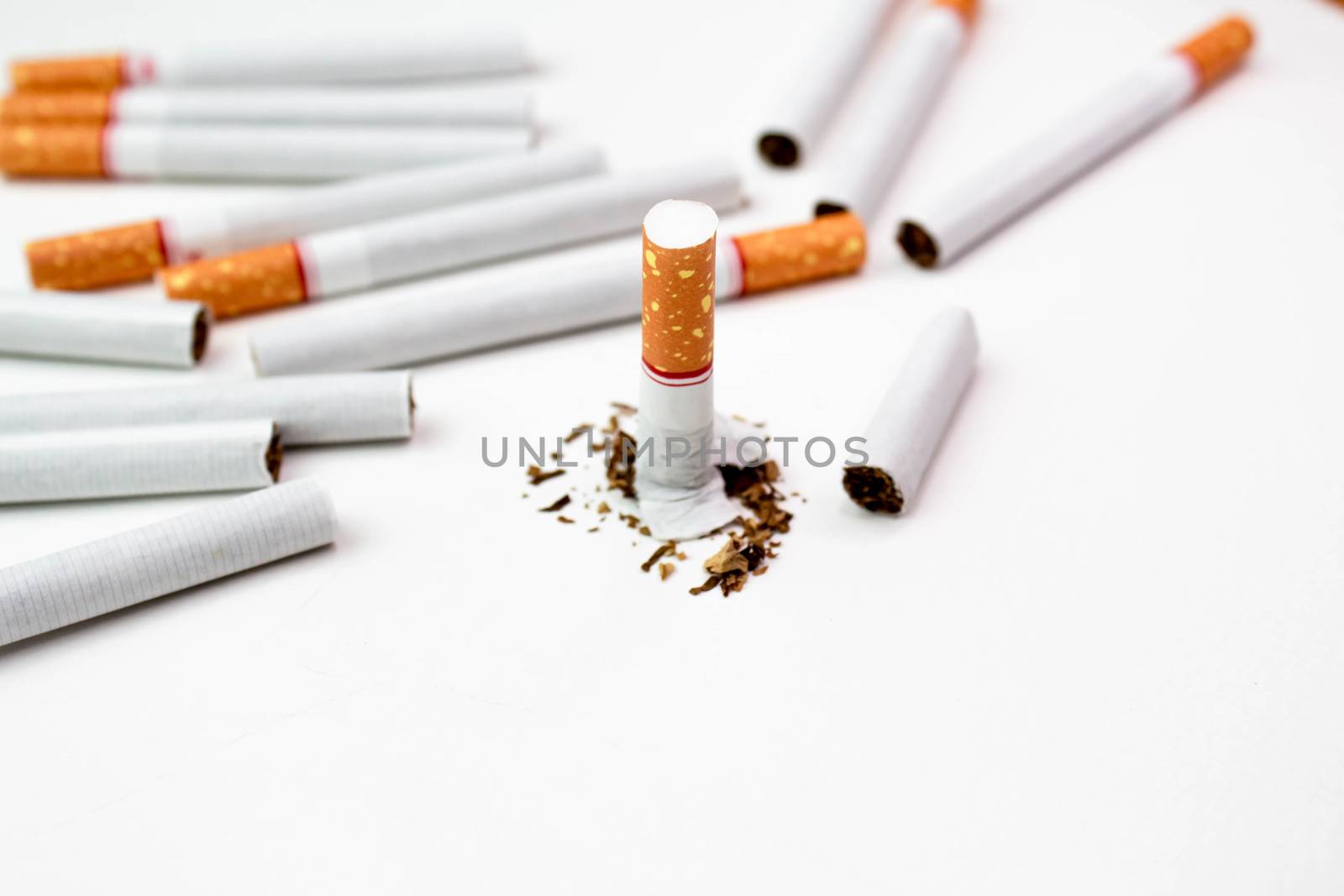 World No Tobacco Day; Broken cigarette with many Cigarettes isolated on white background. by TEERASAK