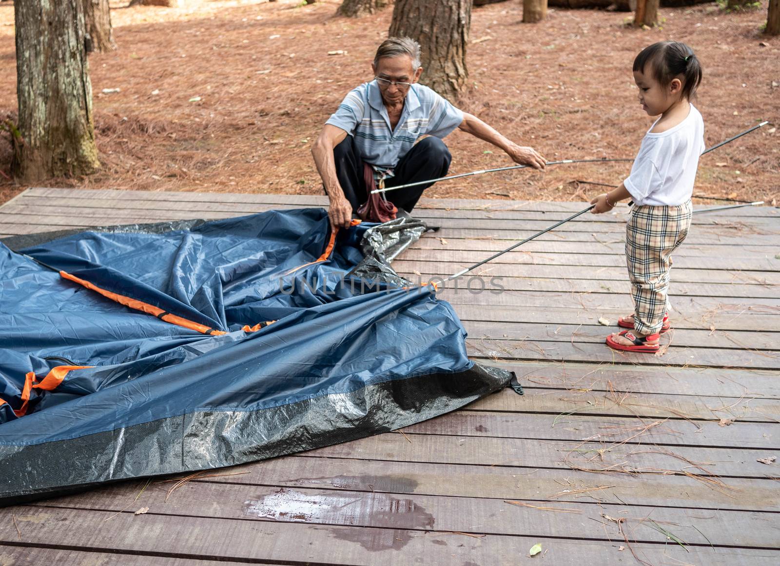 Asian grandfather and child girl are helping to set up a tent at camping spot by TEERASAK