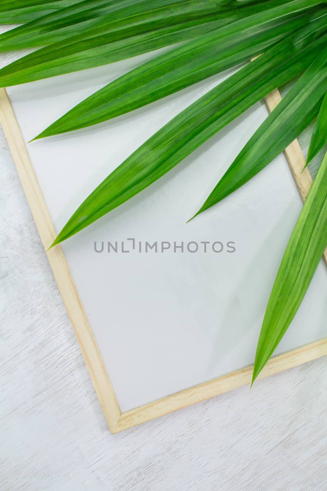 Blank whiteboard and green leaves placed on white background. Copy Placed, space for text. by TEERASAK