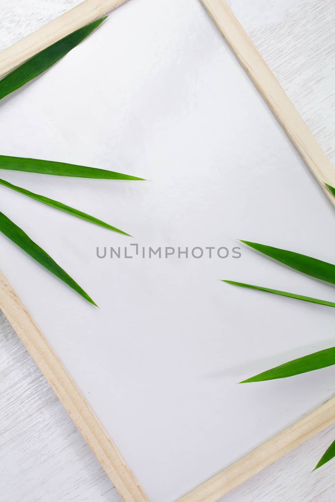 Blank whiteboard and green leaves placed on white background. Copy Placed, space for text.