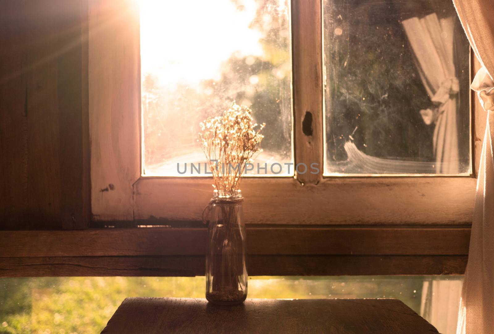 Dry flower vase on wooden table near the window in room with sunlight in evening. Autumn concept. by TEERASAK