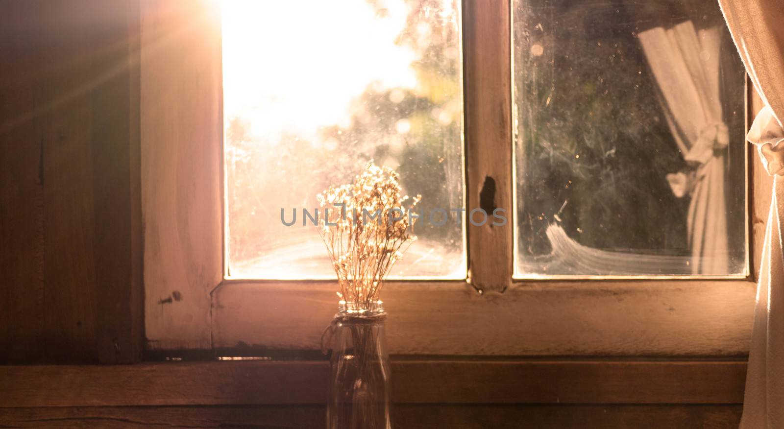 Dry flower vase on wooden table near the window in room with sunlight in evening. Autumn concept. by TEERASAK