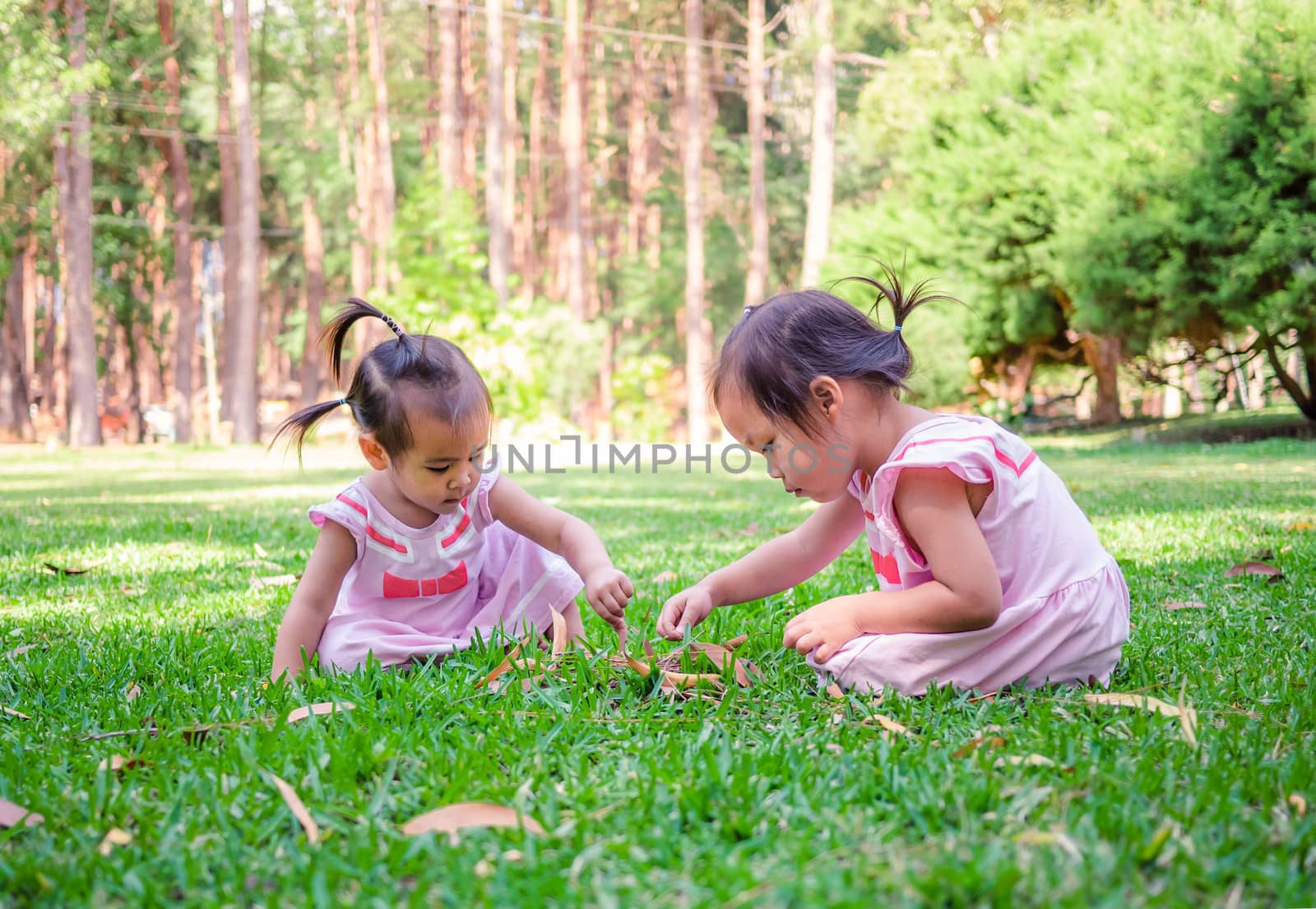 Asian little girls sit playing on grasses together happiness over nature background. Playing is learning for children. by TEERASAK