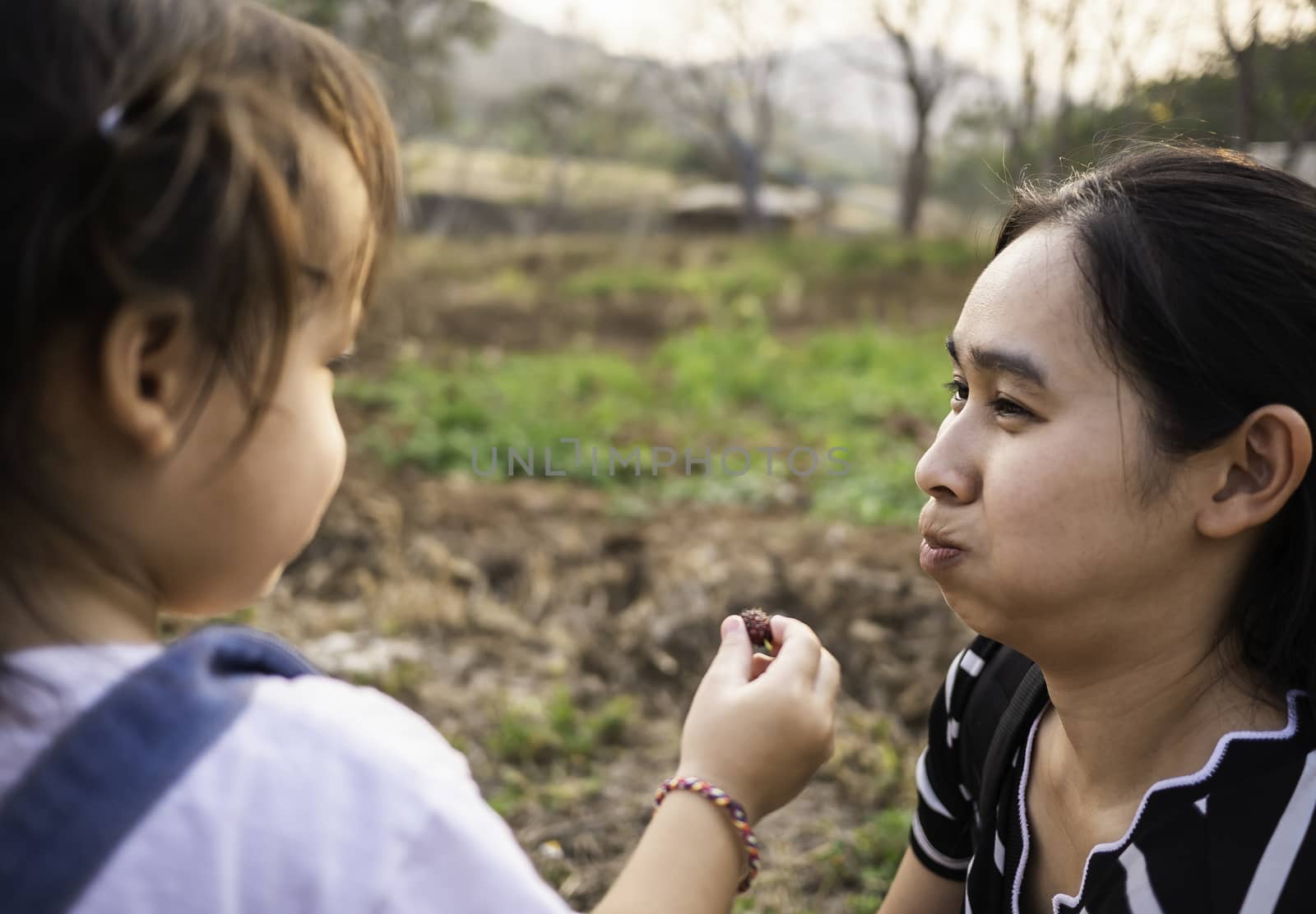 Asian little girl feeding fresh mulberry ball with finger to mother in the garden with sunset background. Playing is learn for children.