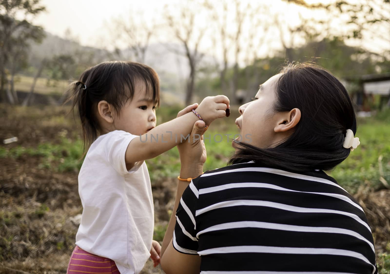 Asian little girl feeding fresh mulberry ball with finger to mother in the garden with sunset background. Playing is learn for children. by TEERASAK