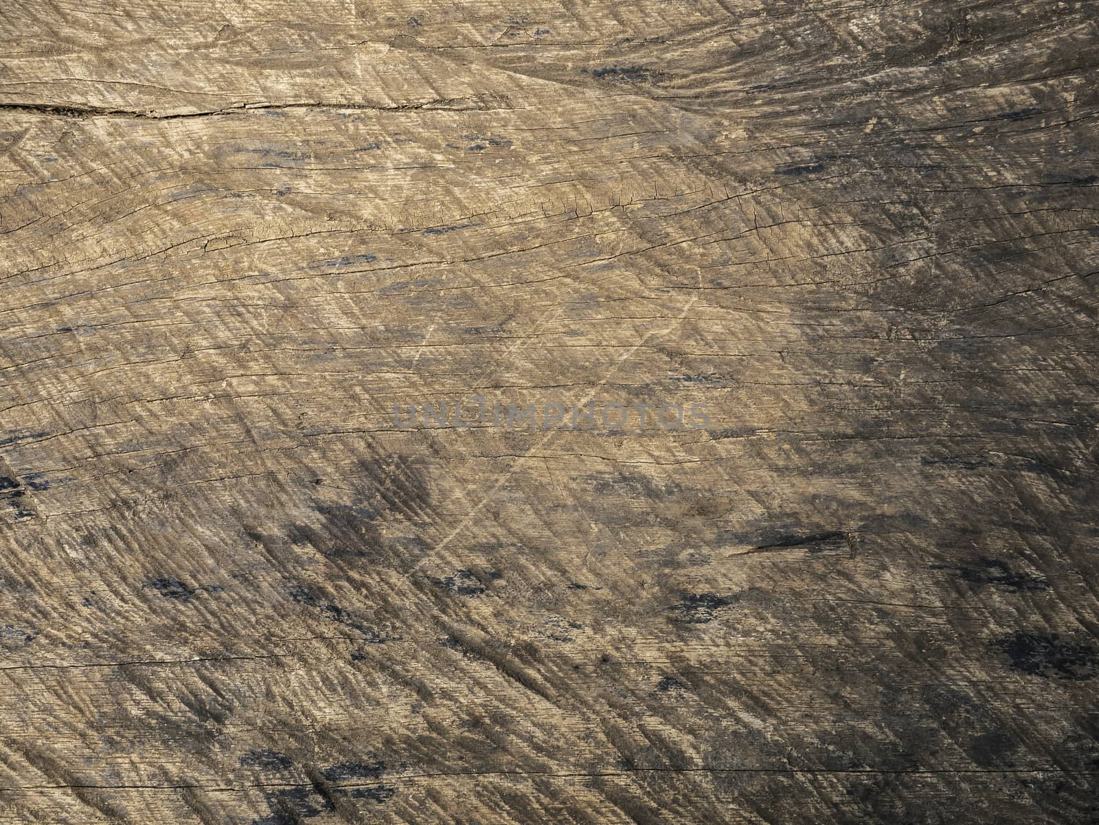 Old wood texture with natural patterns, close up. by TEERASAK