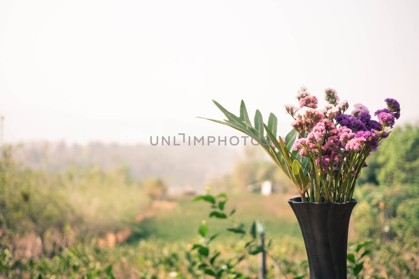 Beautiful flowers in a black vase placed over of the jasmine garden background. Selective focus and space for text. by TEERASAK