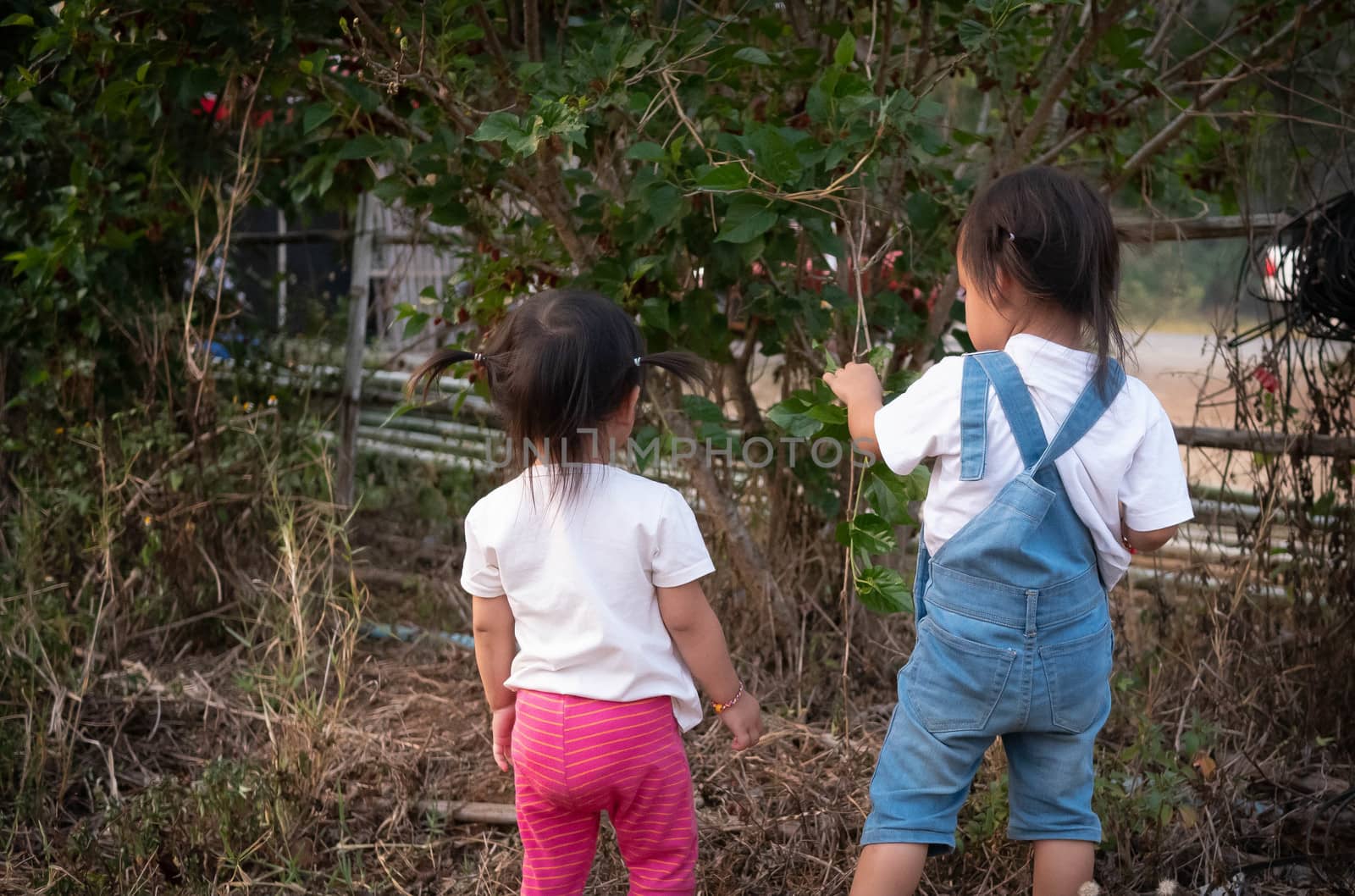 Asian little child girl walking in the garden with cluttered grass. Dangerous in children. by TEERASAK