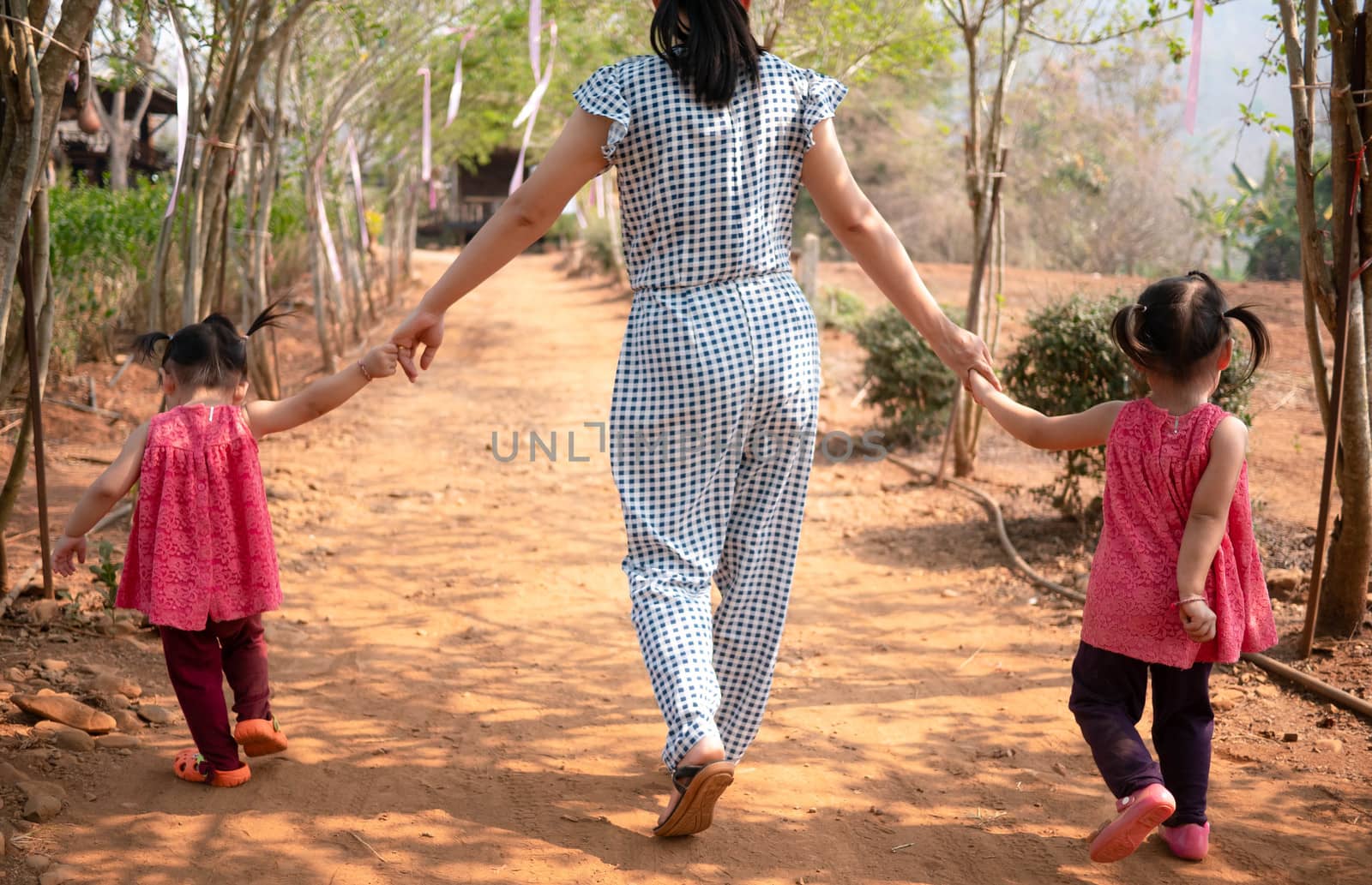 Asian mother and daughters holding hand together and walking in the mulberry garden in the morning.