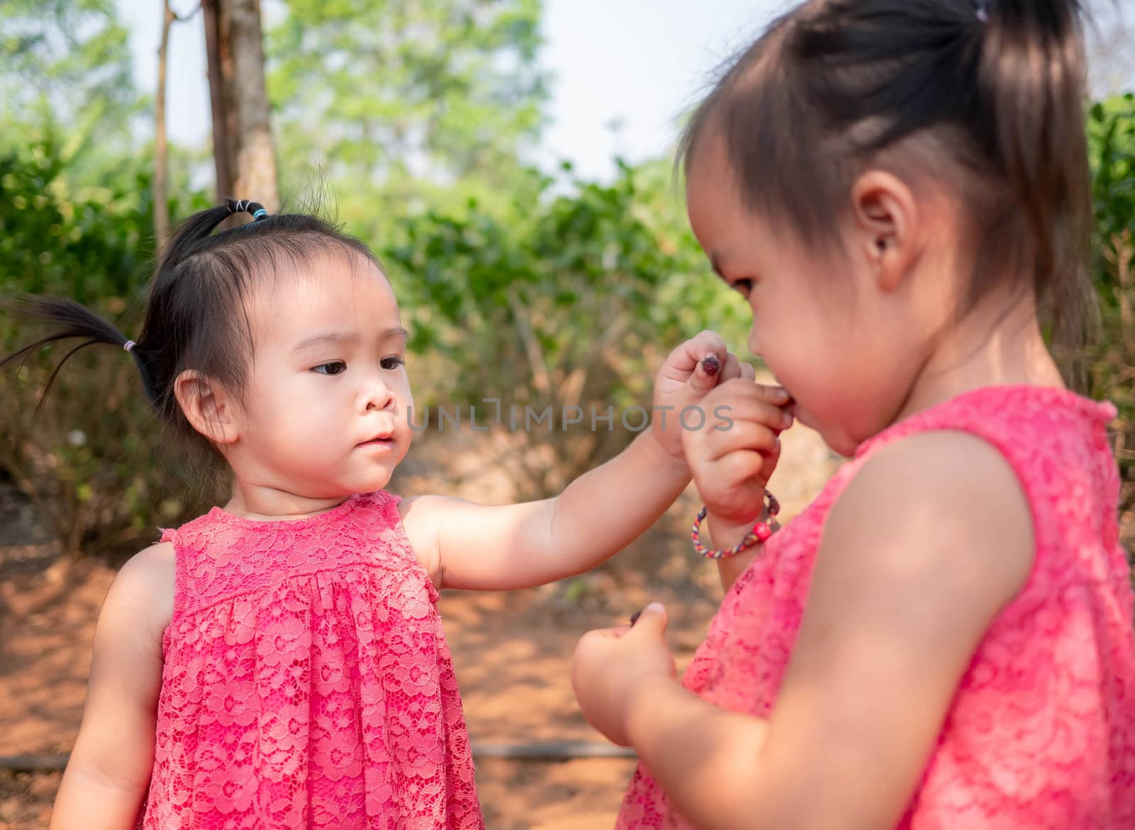 Asian little child testing the taste of fresh mulberry balls the beginning in the garden, First time to eating. Playing is learn to children. by TEERASAK