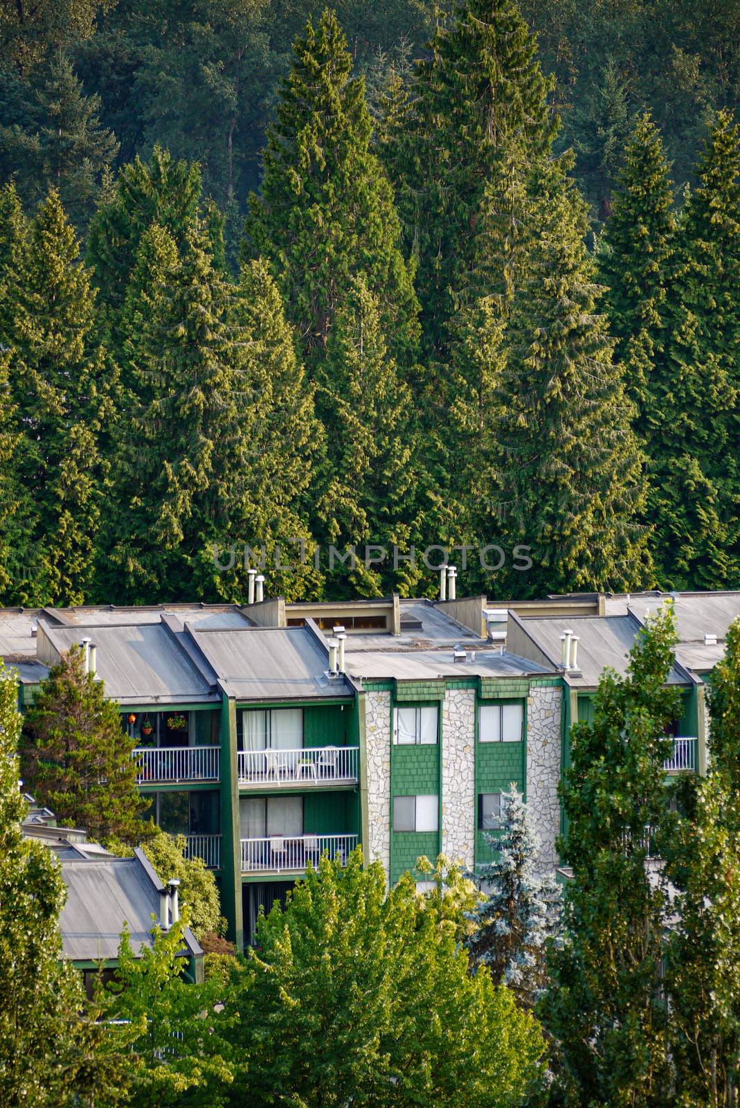 Top of low-rise residential building on green trees background.