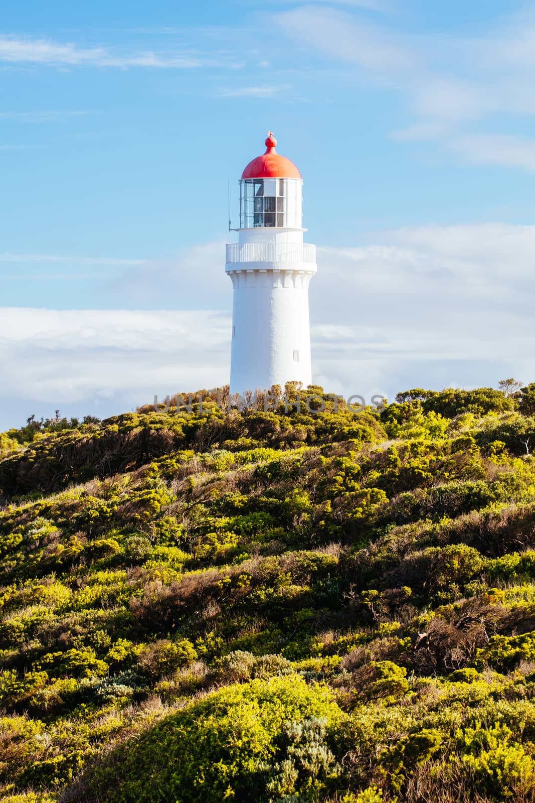 Cape Schanck Lighthouse in Australia by FiledIMAGE