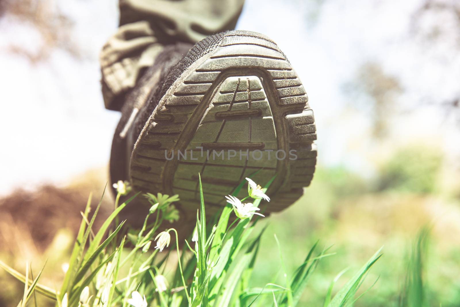 men's shoe tramples flowers on a green meadow, people destroy nature.