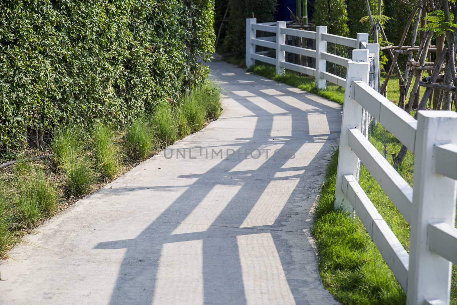 Walkway with white fence by liewluck