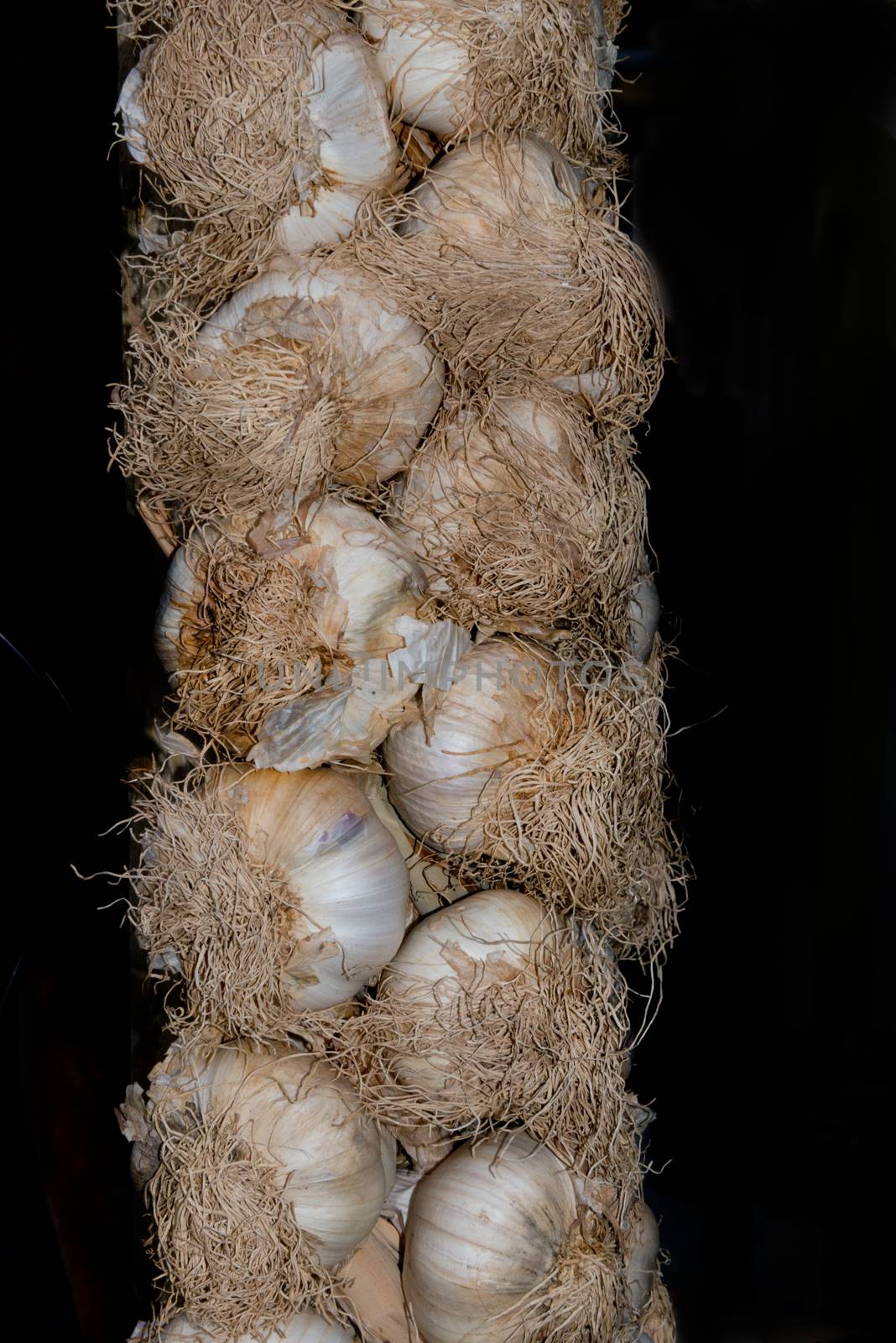 String of Garlic by TimAwe