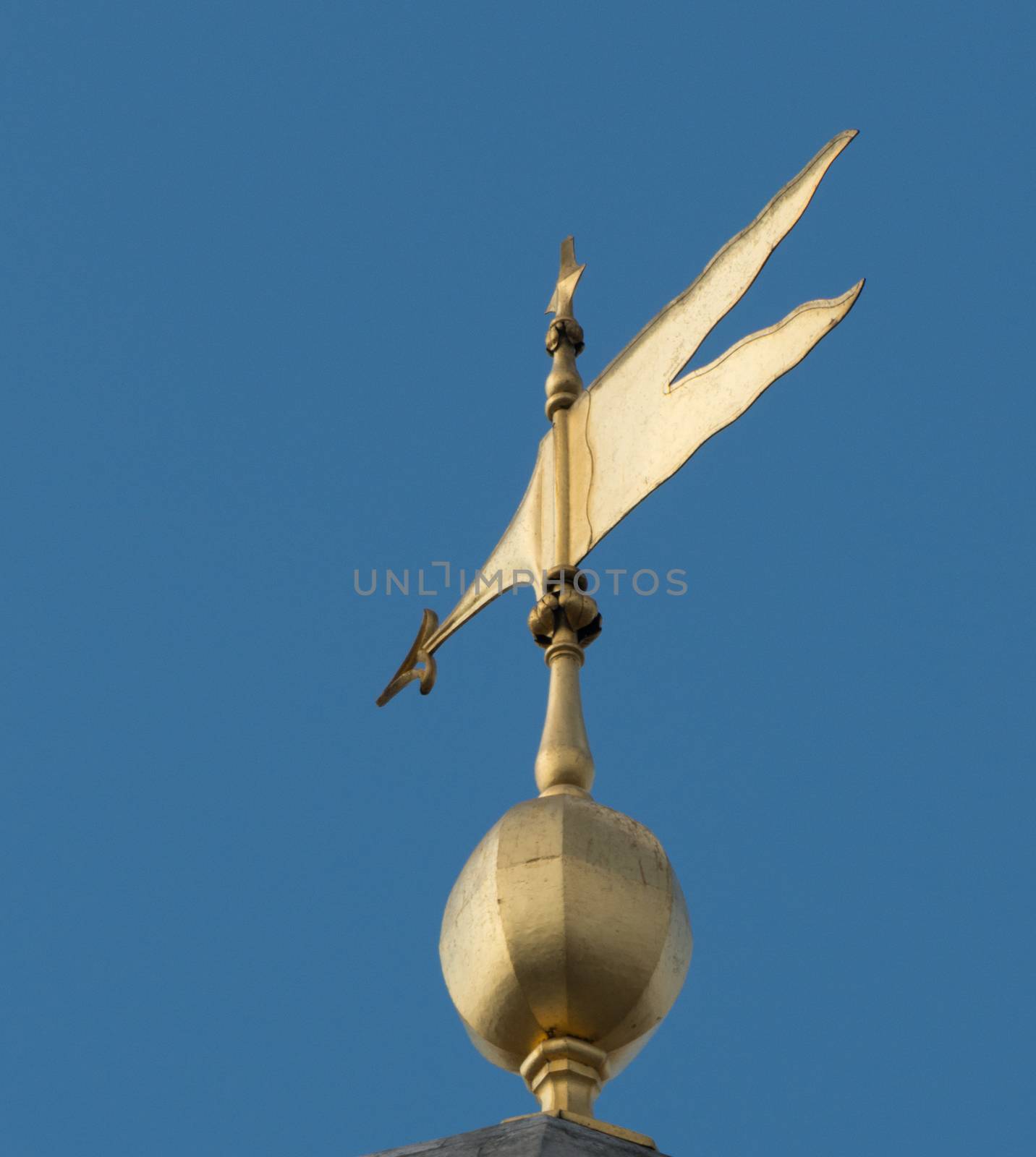 Golden Wind Vane