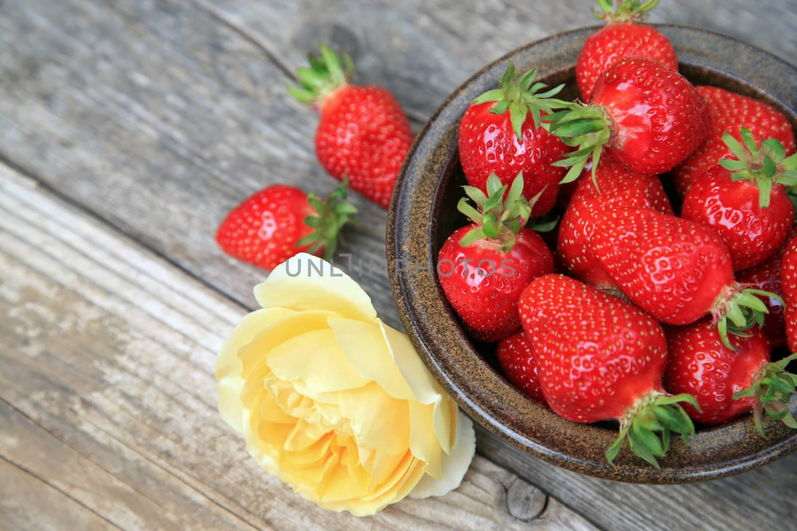 Bowl with fresh strawberries and yellow rose