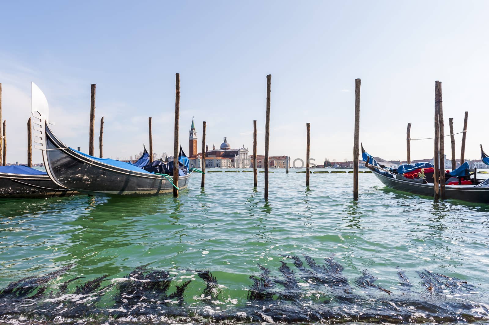 Gondolas and Island of San Giorgio Maggiore in the background in the lagoon of Venice in Veneto, Italy by Frederic