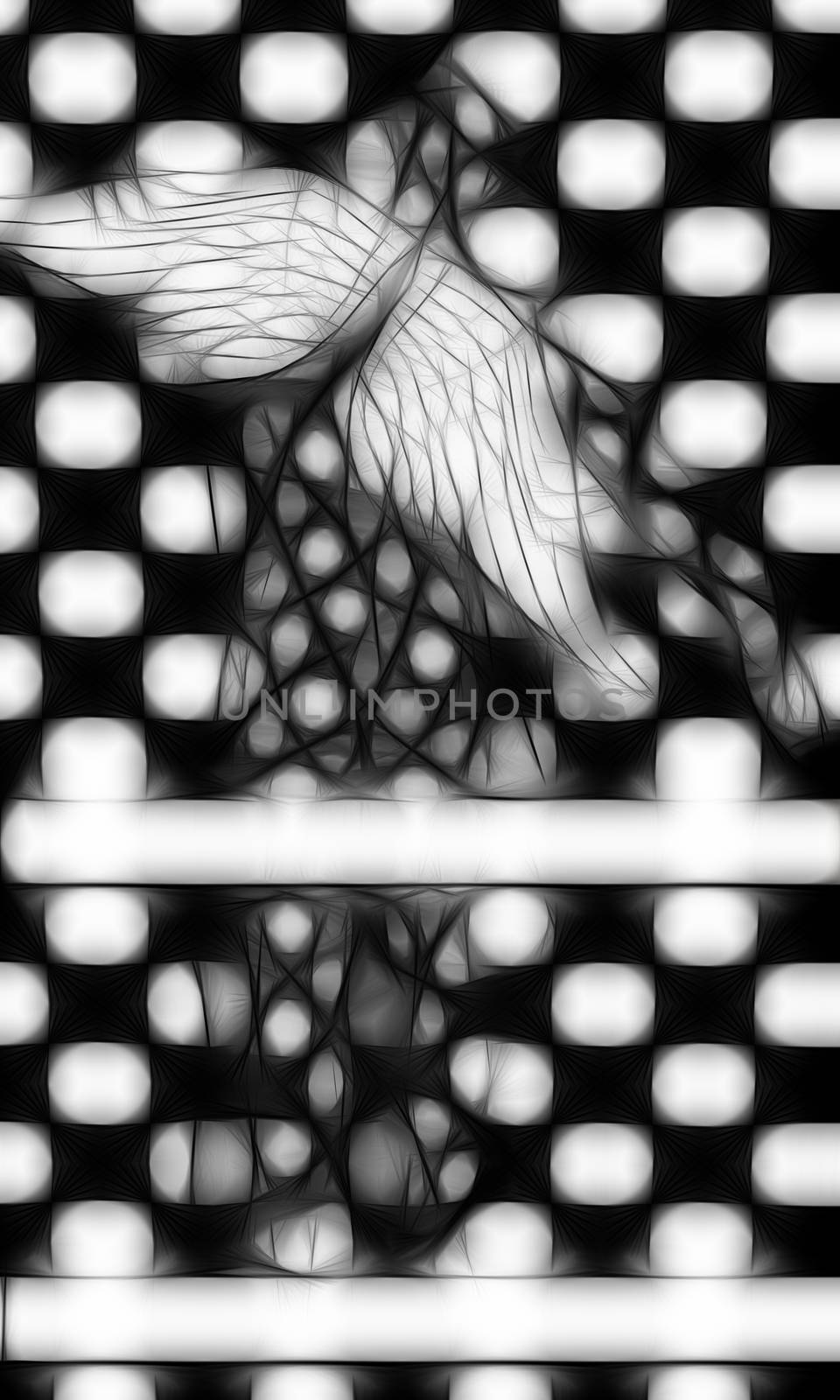 Black end White checkered angel by vitanovski