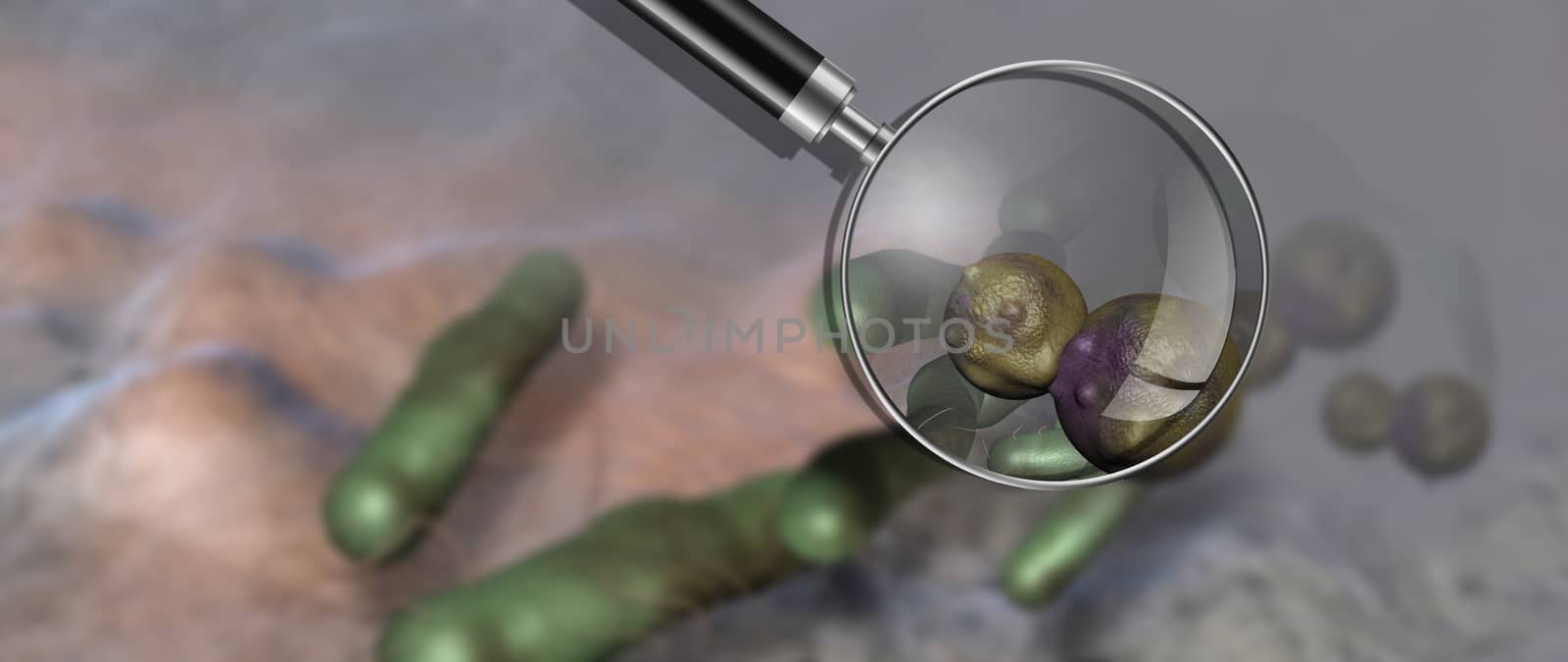 Virus and bacterium background - High Quality 3D Render