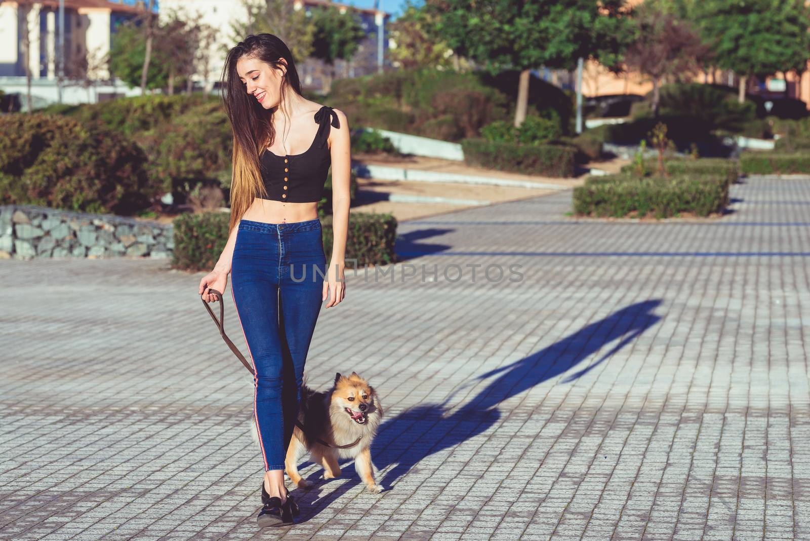 photo of sweet dog with woman