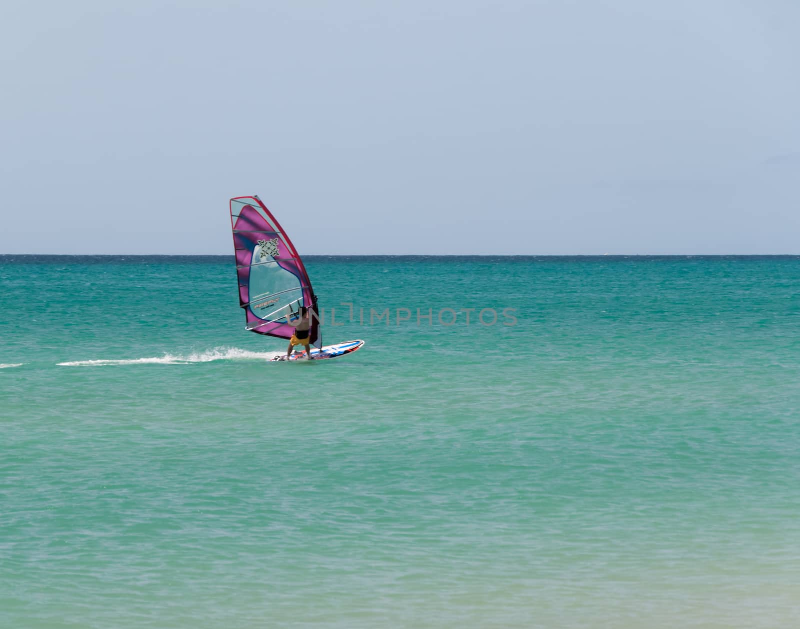 One windsurfer in a turquoise beach