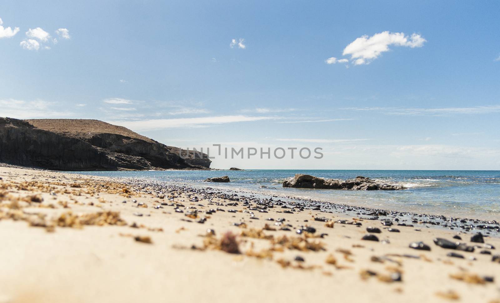 west coast of Fuerteventura, Canary Islands, Lonely beach with volcanic dark stones and seaweed on it. Blue sky and a dark cliff on the background