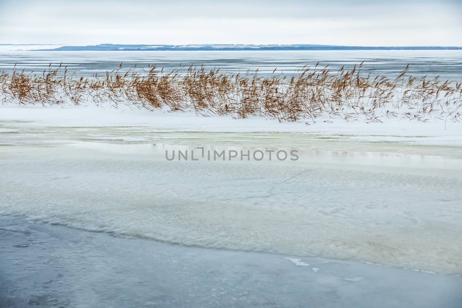 Snow fell on the dry yellow grass by the river. Beautiful winter landscape. Bank of the river after the first snowfall. Dry grass in the snow near the pond.