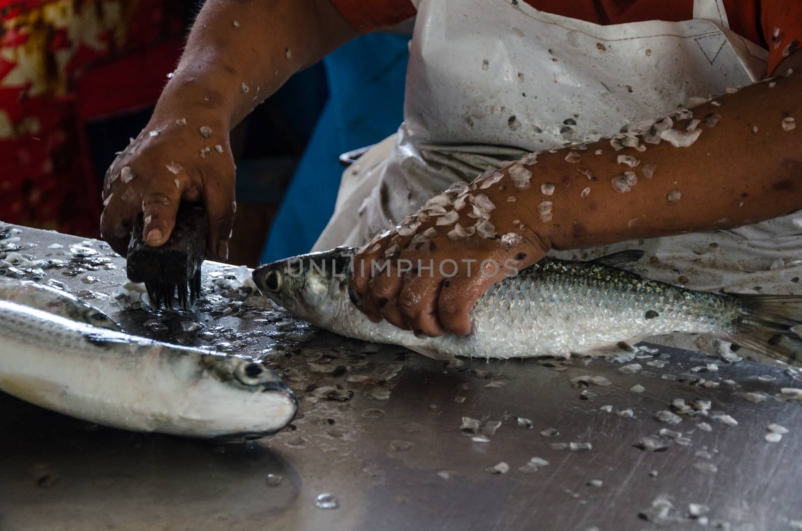 Preparing the fish, removing the scales from the fish so that it can be sold in the market