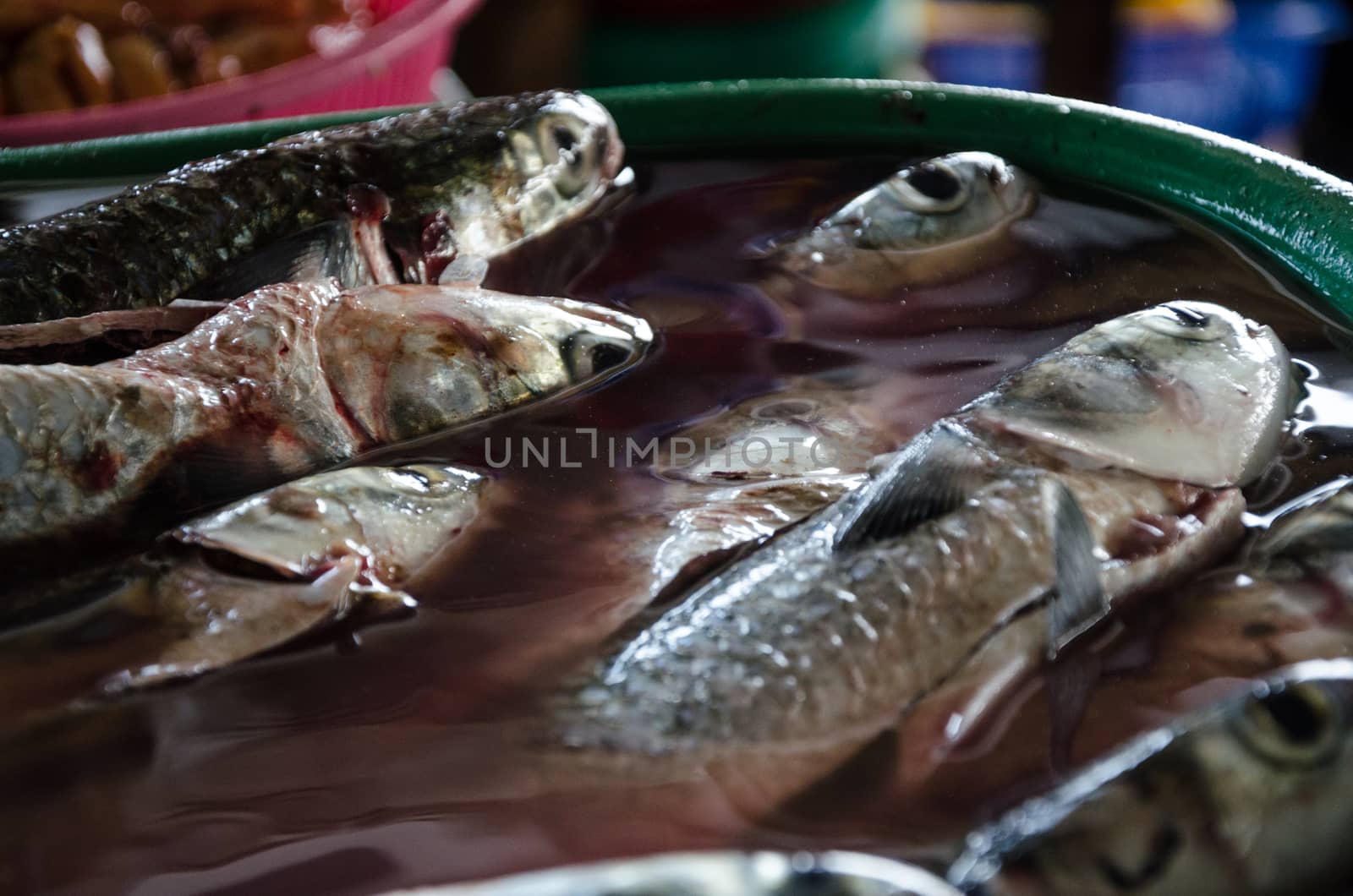 They put them to the fish on water to keep them fresh until the moment of taking them out to sell in the market