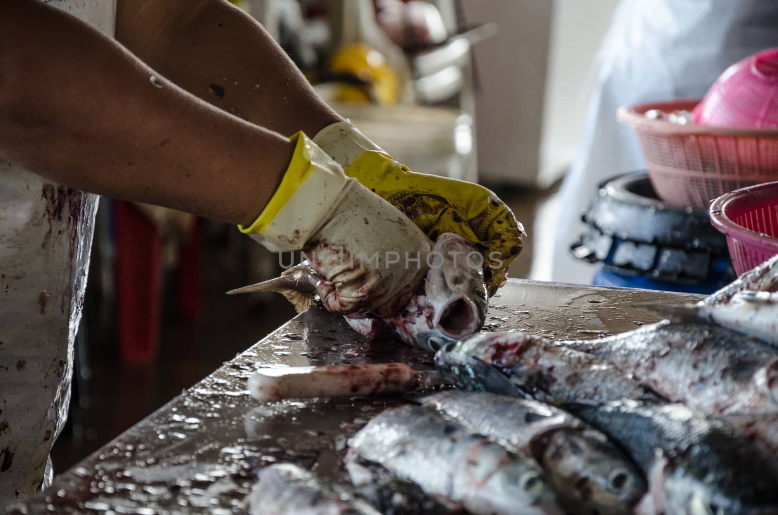 Preparing the fish, removing the scales from the fish so that it can be sold in the market