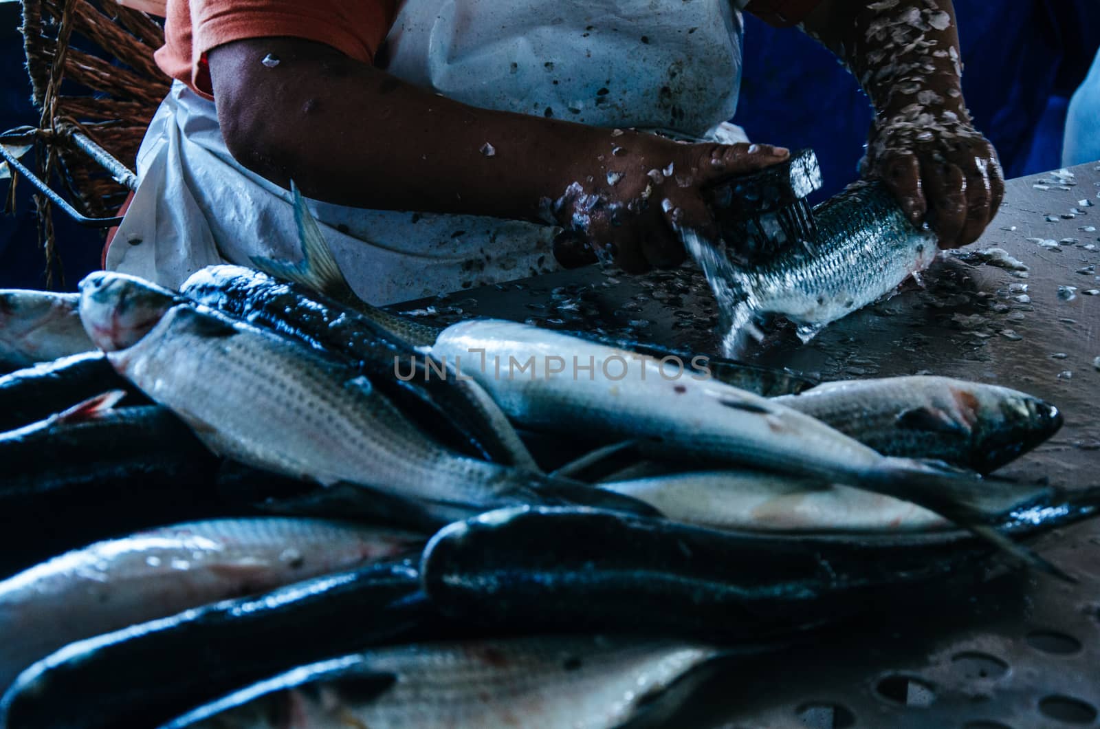 Preparing the fish, removing the scales from the fish so that it can be sold in the market