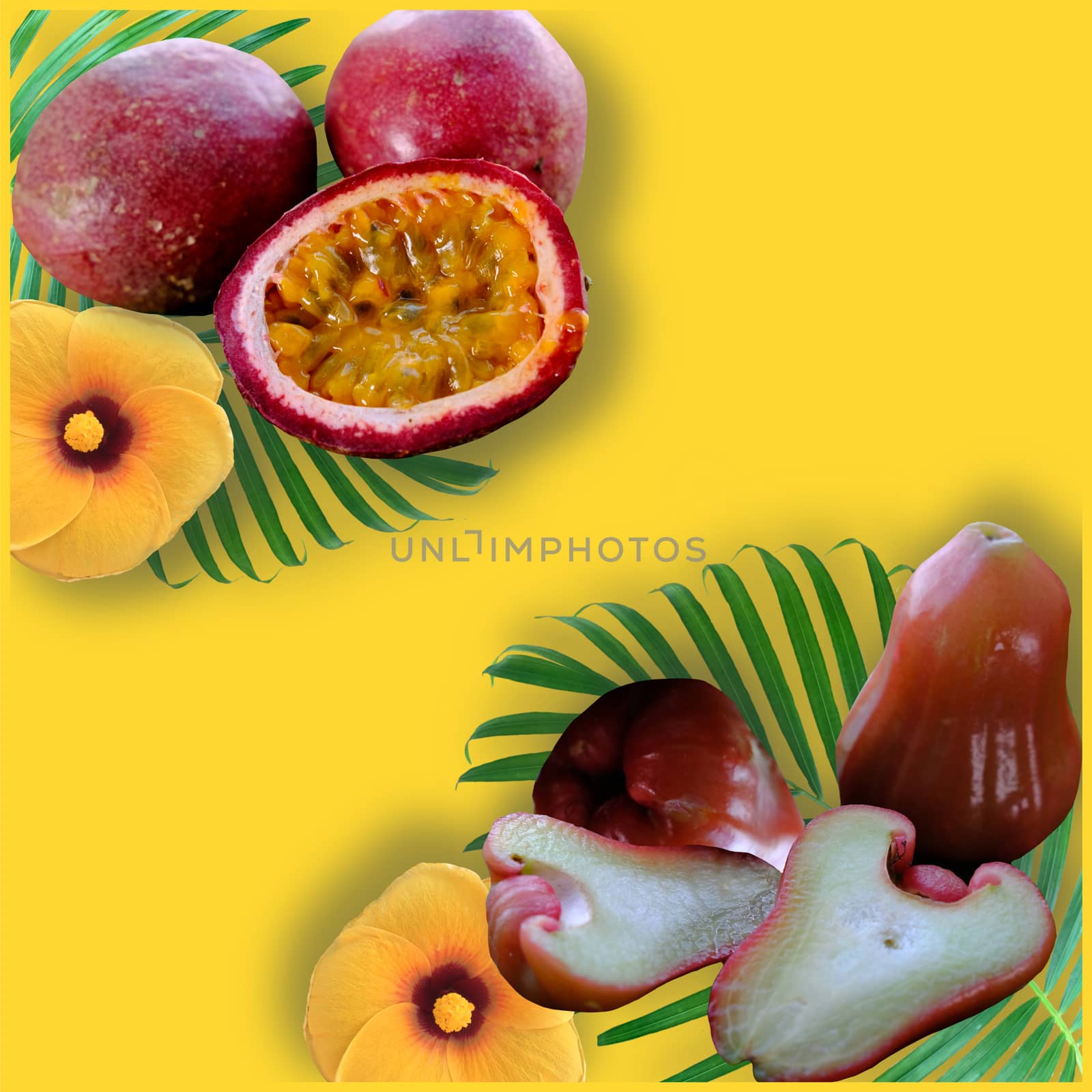 Tropical fruits on the yellow background. Ripe passion fruits (maracuya) and Rose Apple with palm leafs of whole and cut. Top view Exotic fruits