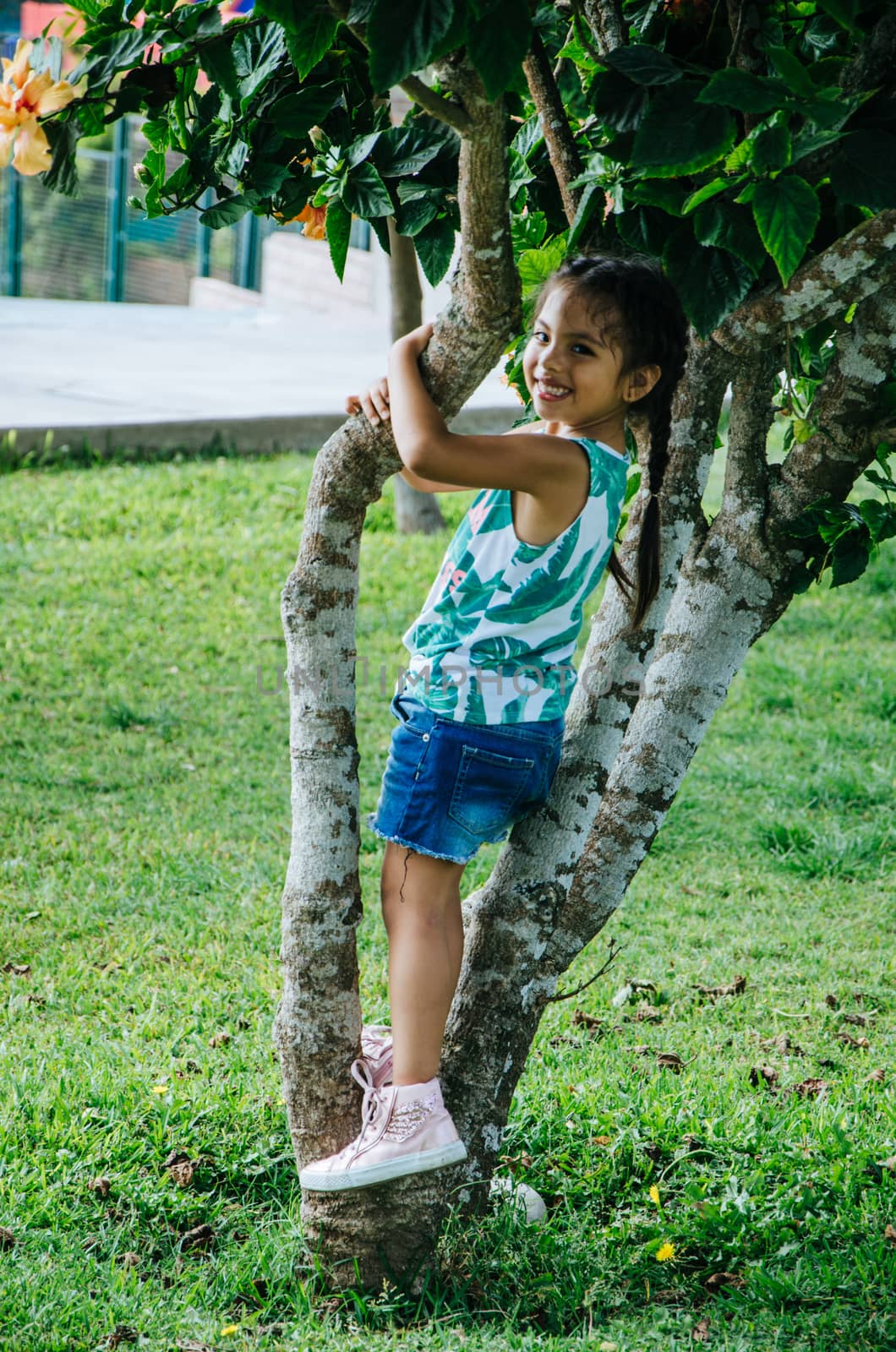 Happy little girl in a tree by Peruphotoart