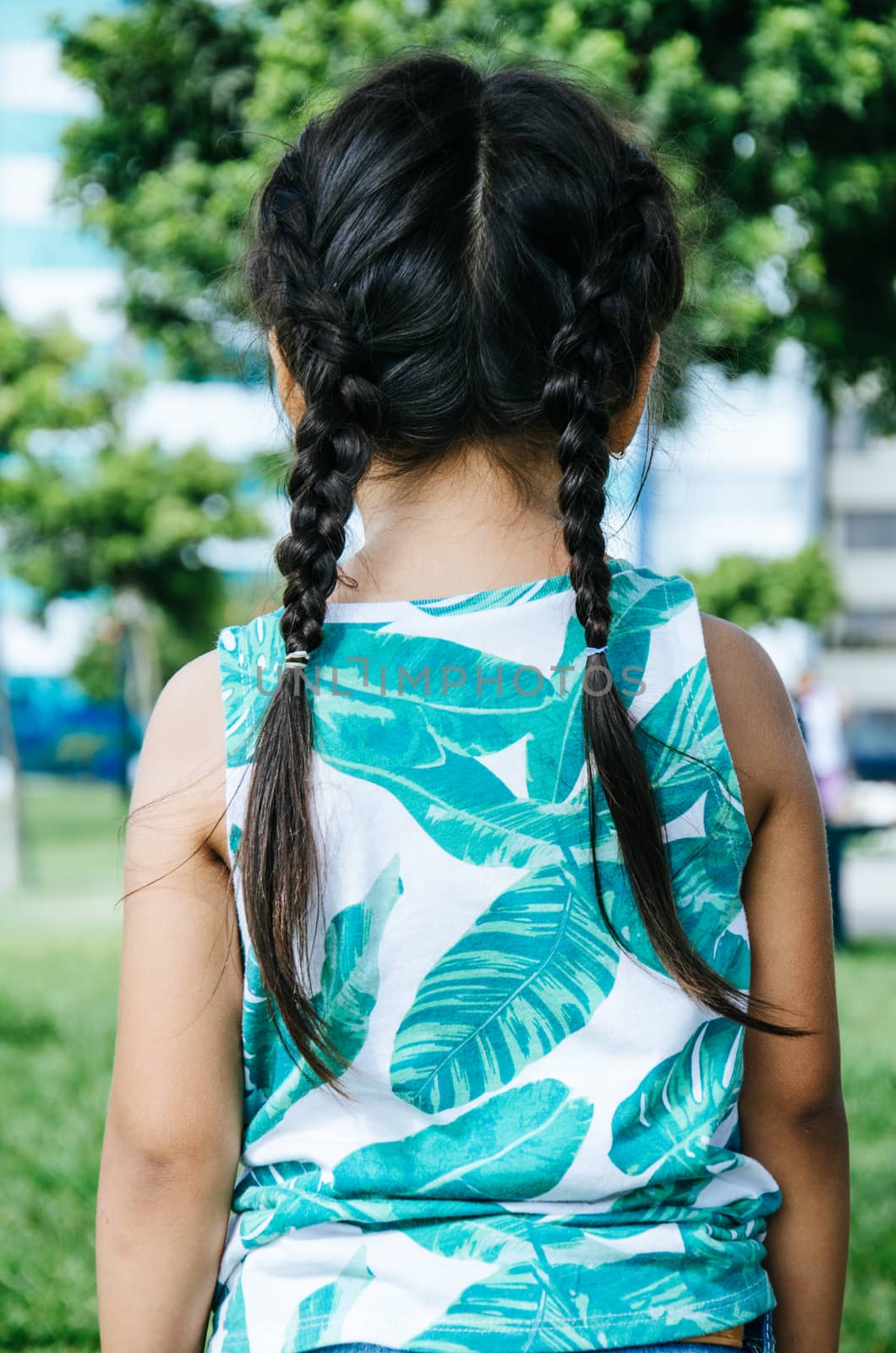 Braids of a girl in the park