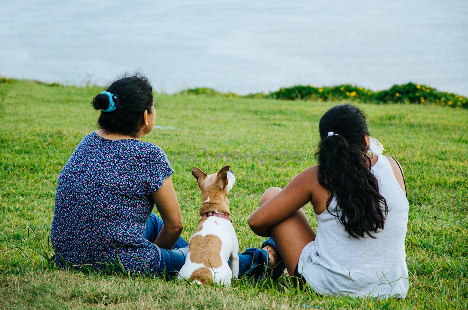 Two girls and a dog looking at the sky